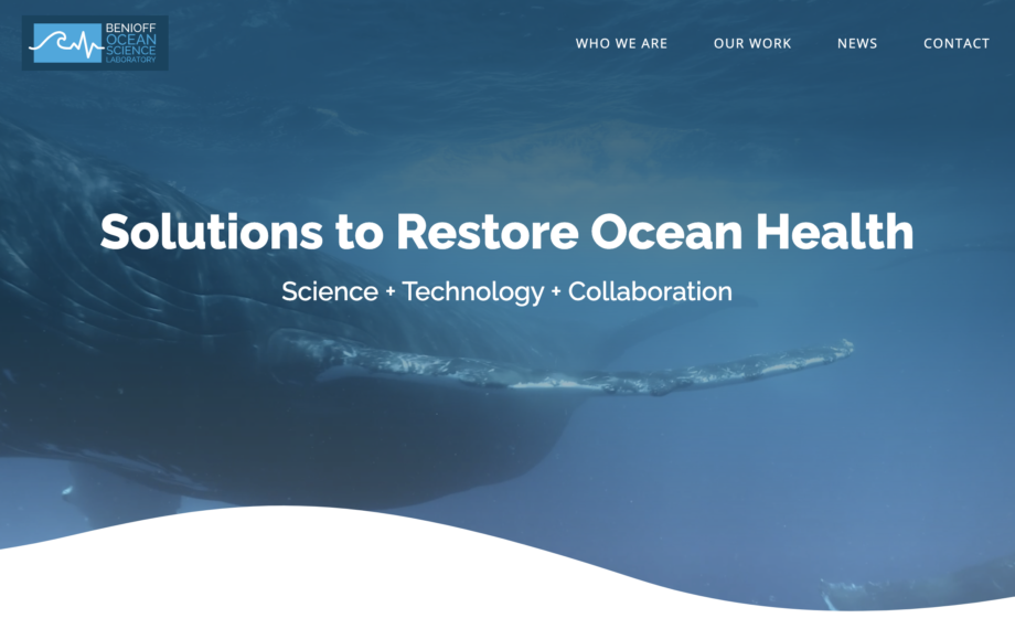 Solutions to Restore Ocean Health: Science, Technology, Collaboration. Whale swimming int he ocean.